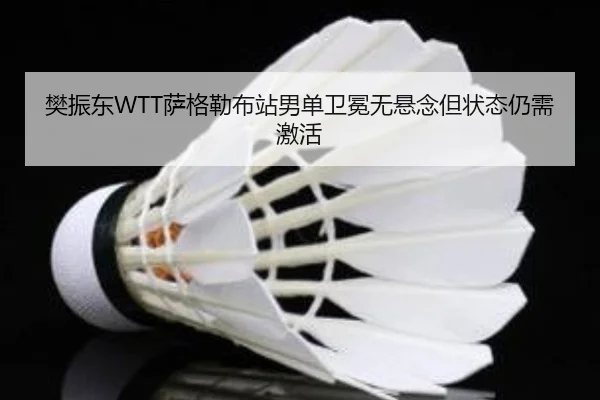 fan-zhen-dong-sa-ge-lei-bu-zhan-nan-dan-wei-mian-wu-xuan-nian-dan-zhuang-tai-reng-xu-ji-huo-2-133.jpg