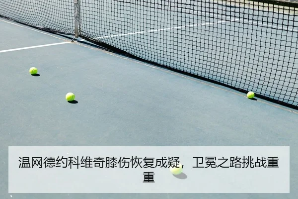 wen-wang-de-yue-ke-wei-qi-xi-shang-hui-fu-cheng-yi-wei-mian-zhi-lu-tiao-zhan-chong-chong-2-543.jpg