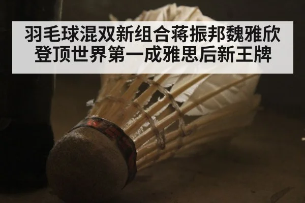 羽毛球混双新组合蒋振邦魏雅欣登顶世界第一成雅思后新王牌