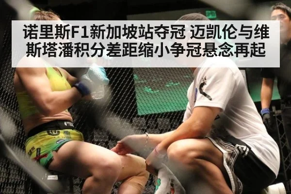 诺里斯F1新加坡站夺冠 迈凯伦与维斯塔潘积分差距缩小争冠悬念再起